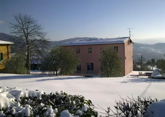 Il Trebbiolo 컨트리하우스 *